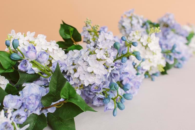 Picture of Millie Garland