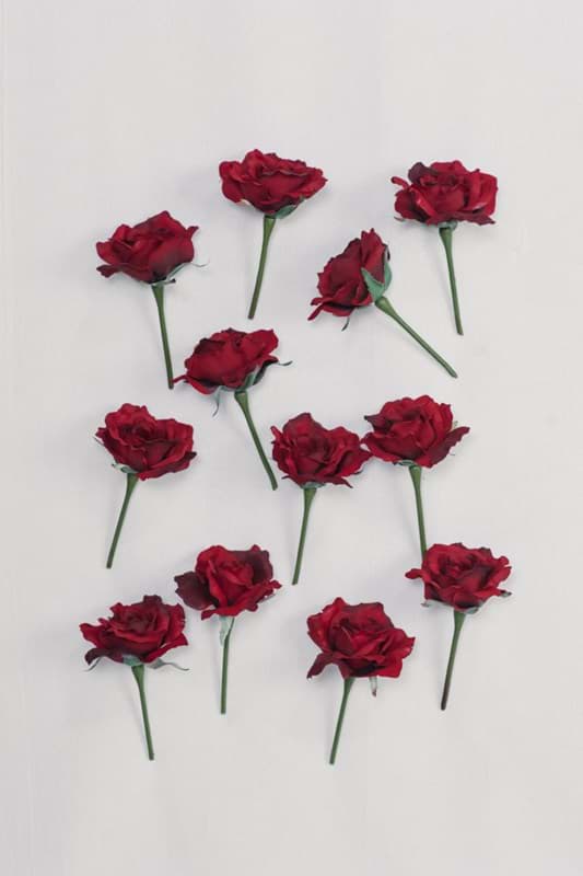 Picture of Red Rose Buds