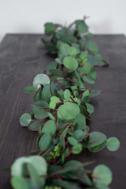 Picture of Silver Dollar Eucalyptus Garland