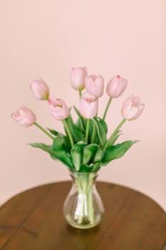 Picture for category Home