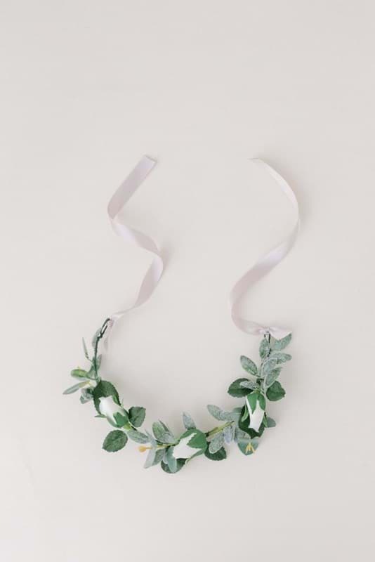 Picture of Jane Dog Collar