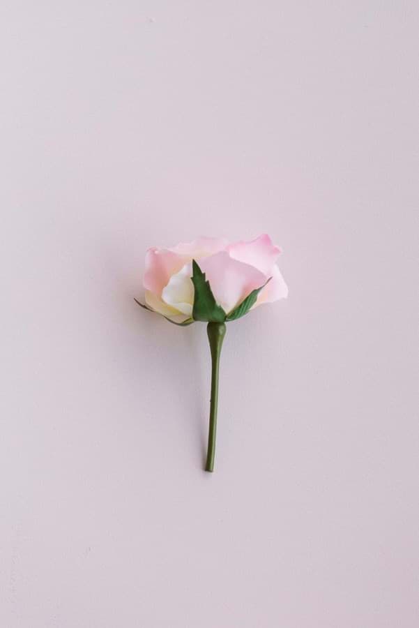 Picture of Pink Rose Buds