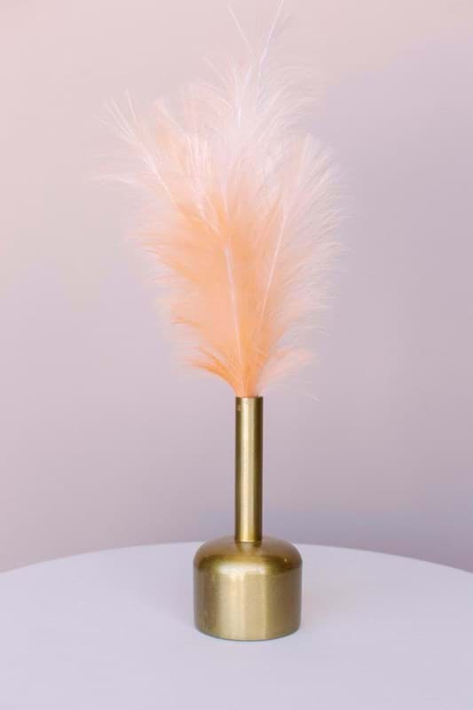 Picture of Peach Plume Spray