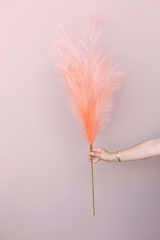 Picture of Pink Plume Spray