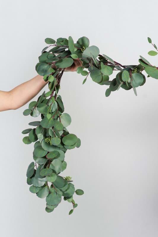 Picture of Silver Dollar Eucalyptus Garland