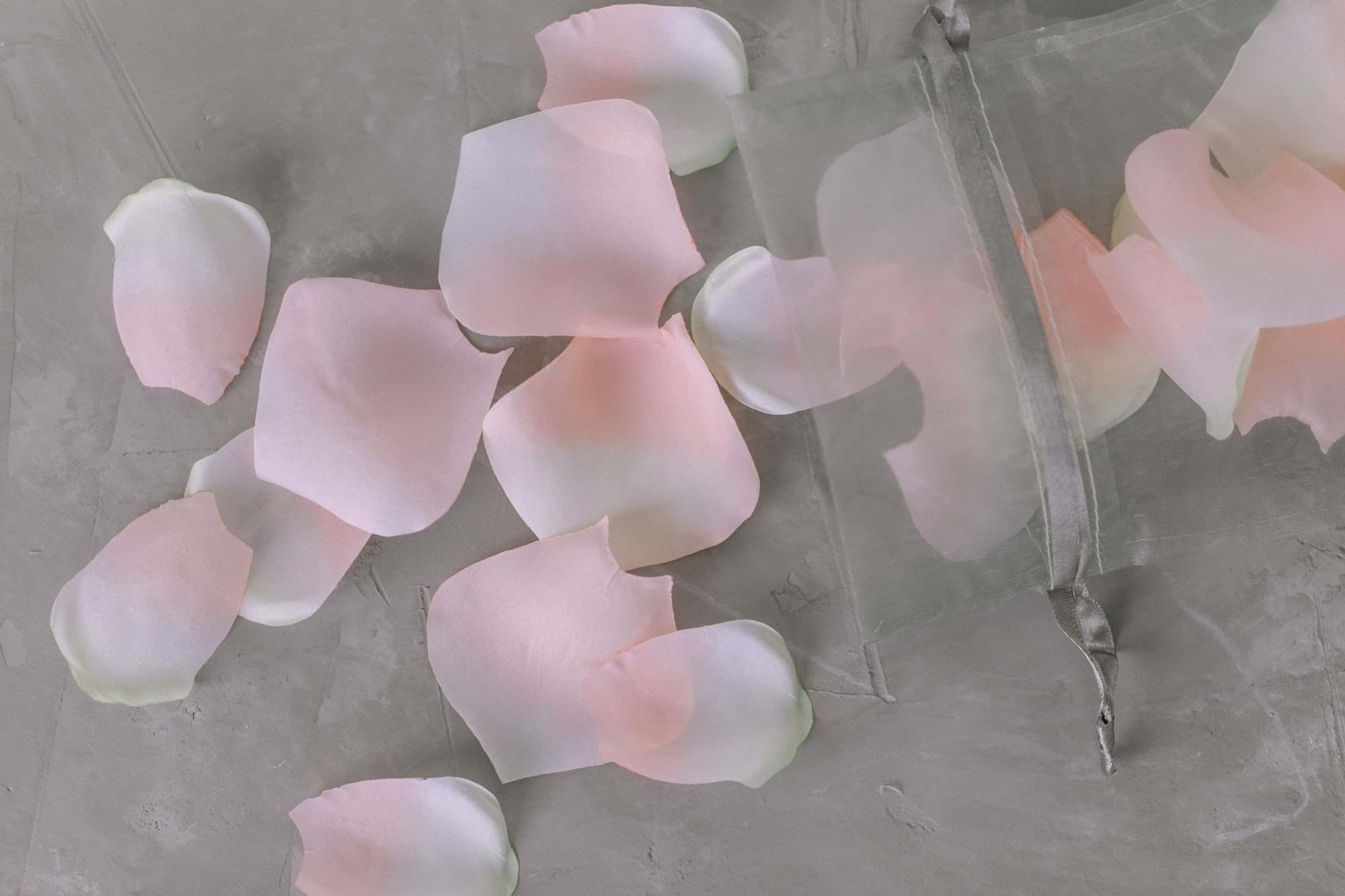 Picture of Blush Rose Petals (250)