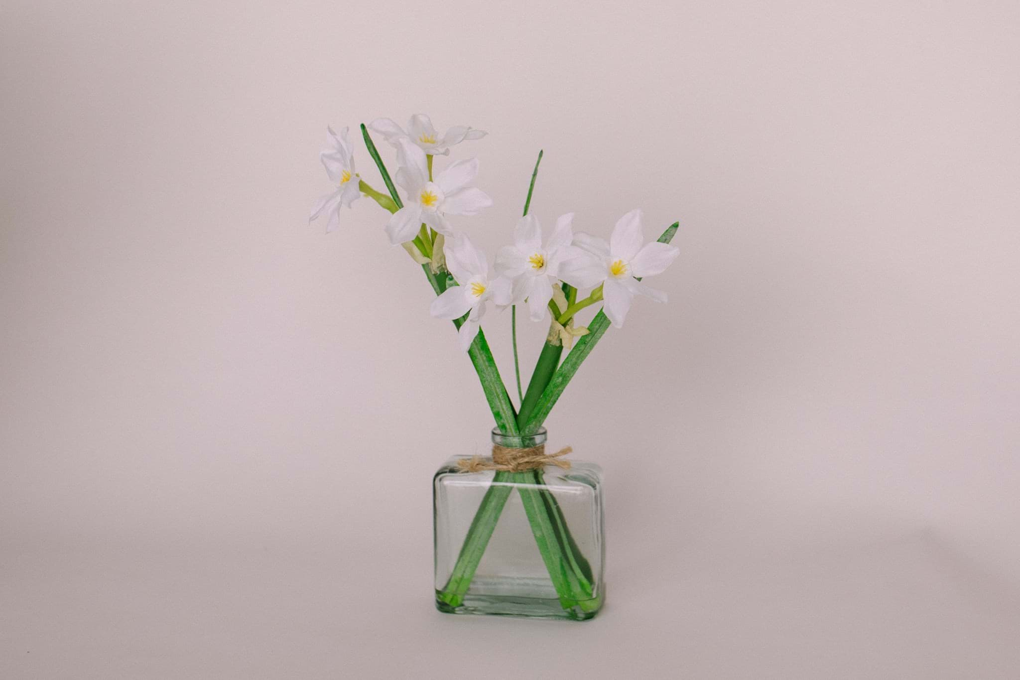 Picture of White Daffodils in Glass Vase