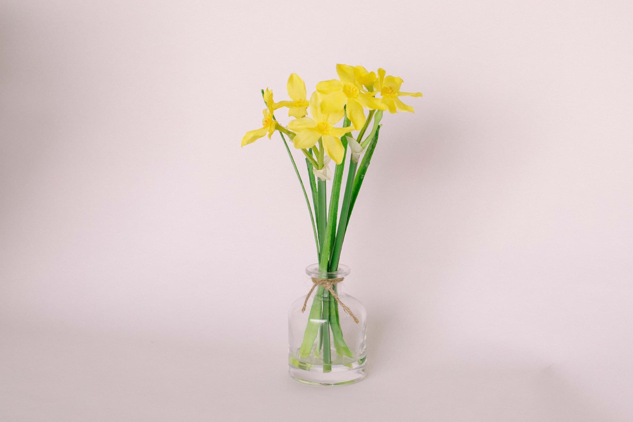 GLASSYBABY YELLOW outlets - DAFFODIL - GLASS