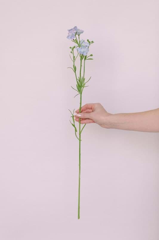 Picture of Larkspur Spray