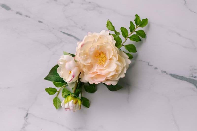 Picture of Eloise Corsage