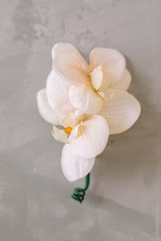Picture of Wren Boutonniere (Double Orchid)