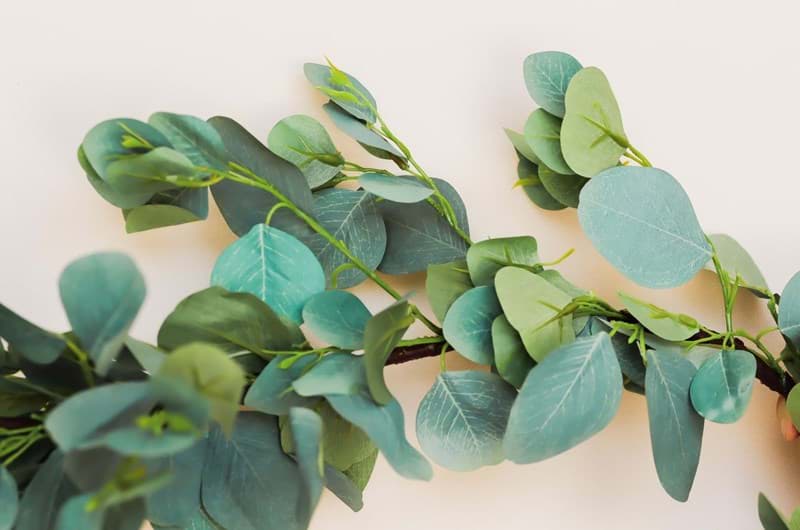 Picture of Oval Leaf Eucalyptus Garland