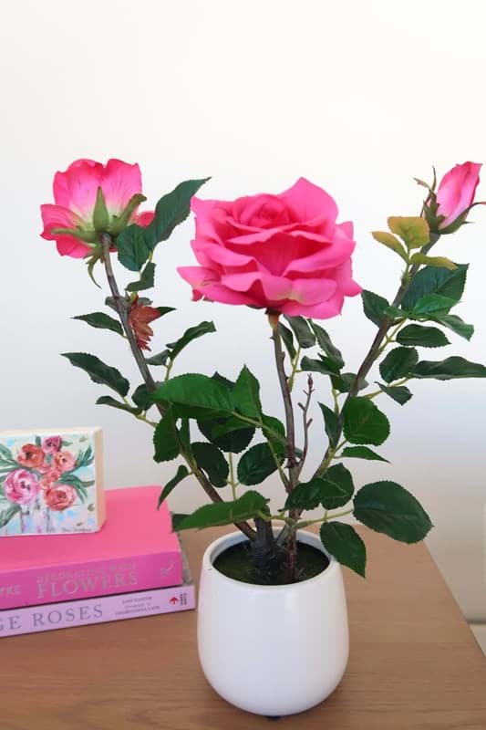 Picture of Pink Rose in Ceramic Vase