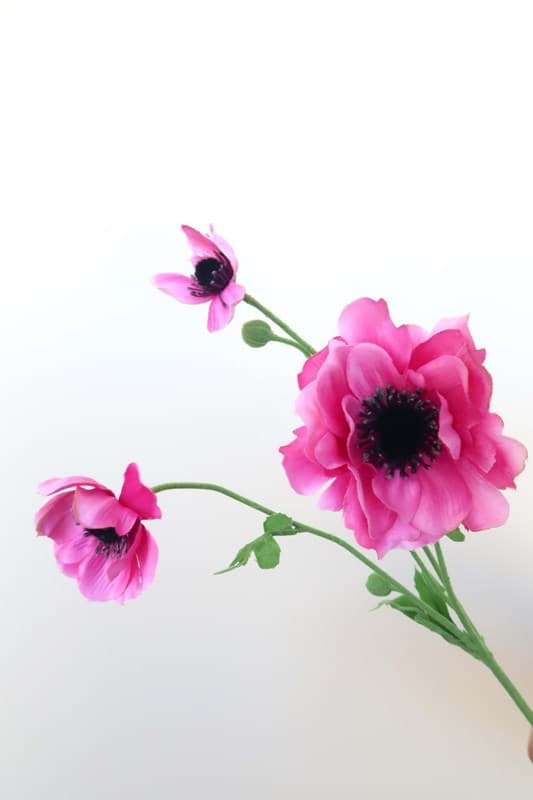 Picture of Pink Anemone Spray