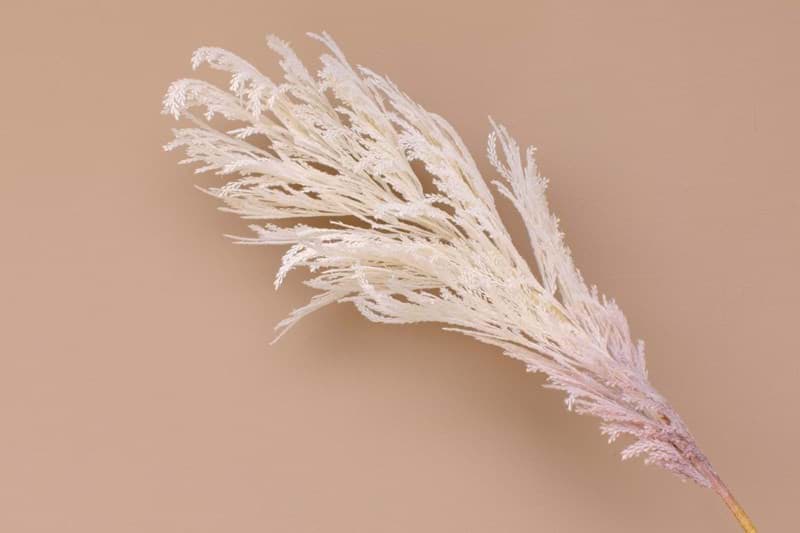 Picture of Pampas Grass Pick