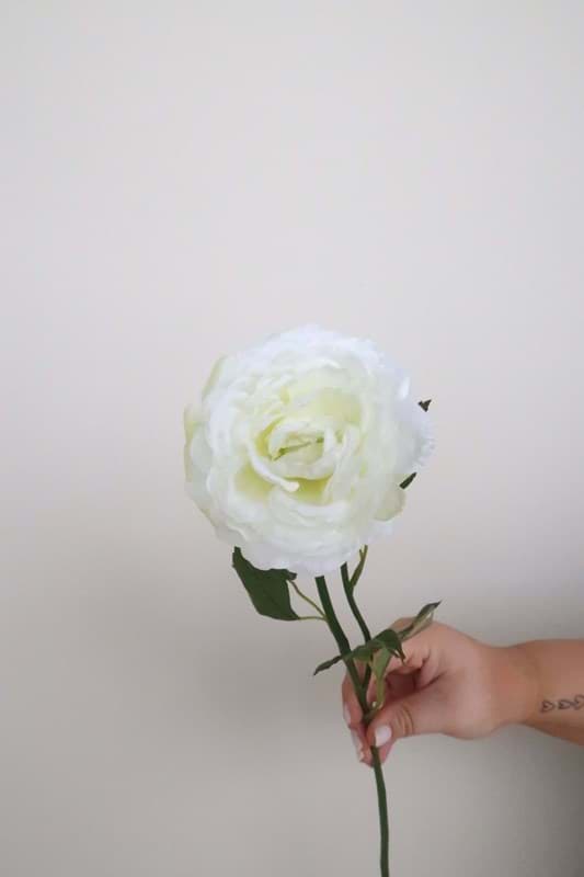 Picture of White Ranunculus Spray