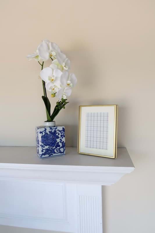 Picture of White Orchid in Chinoiserie Vase