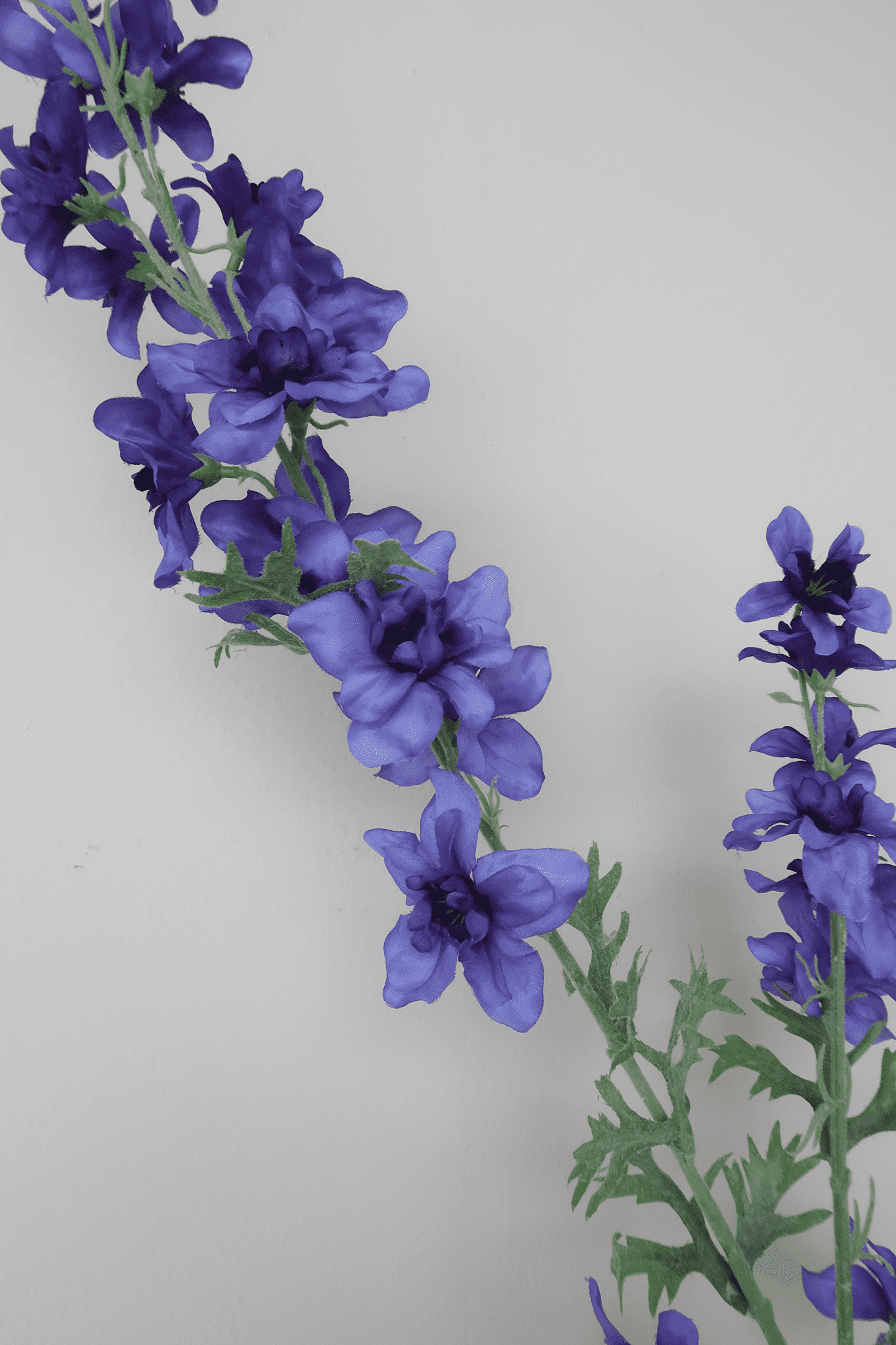 Picture of Delphinium Spray - Blue