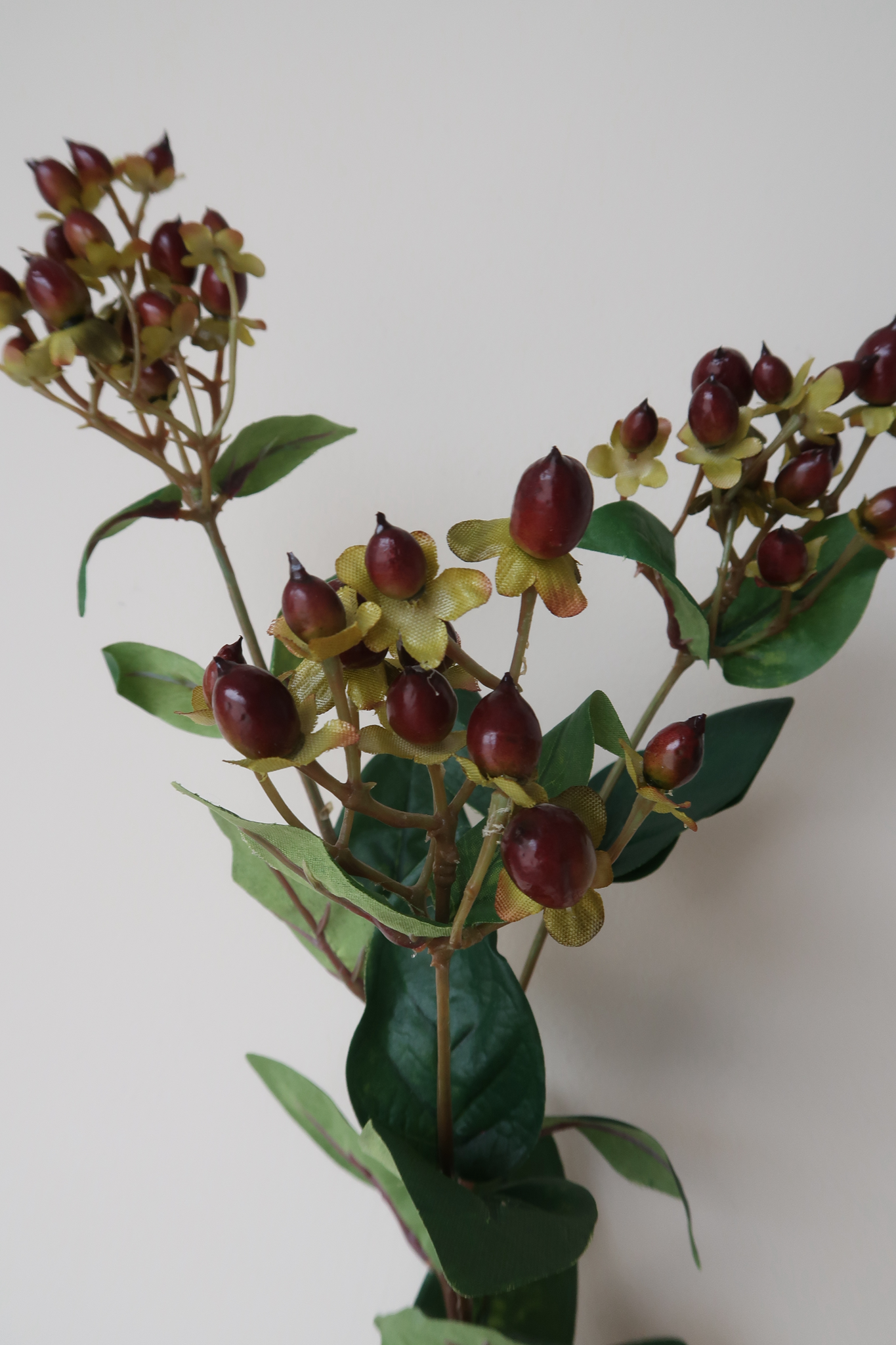 Picture of Hypericum Spray