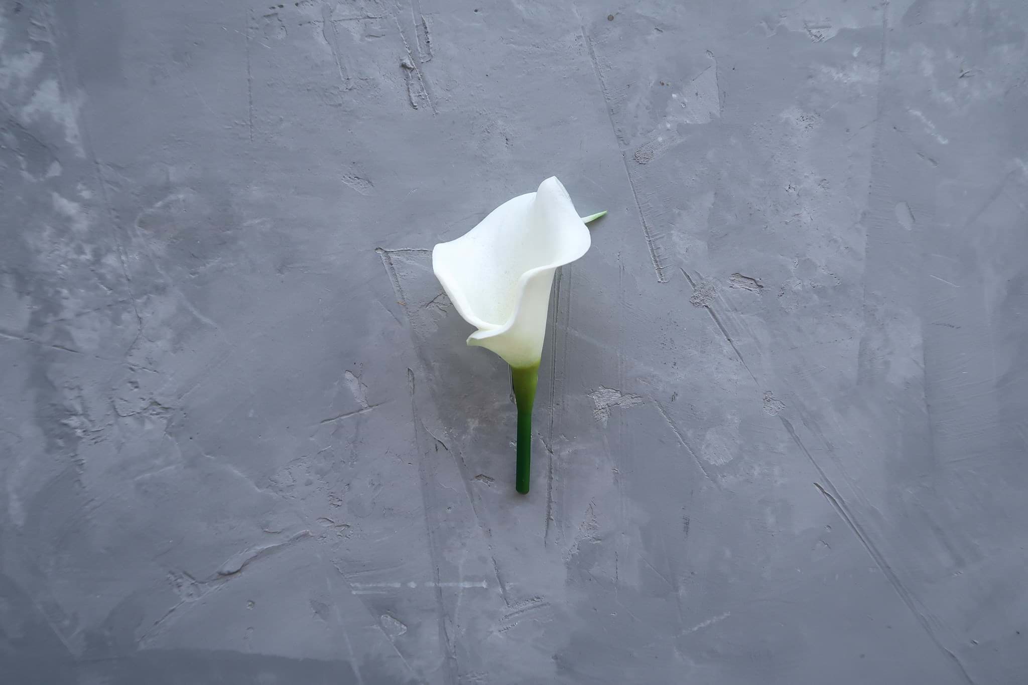 Picture of Zayah Boutonniere